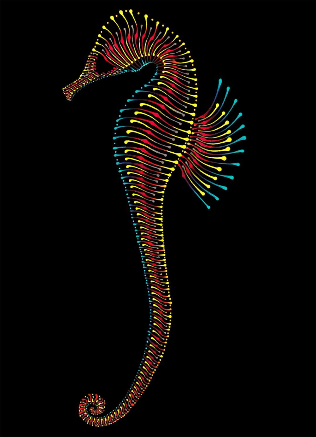 Seahorse Illustration
